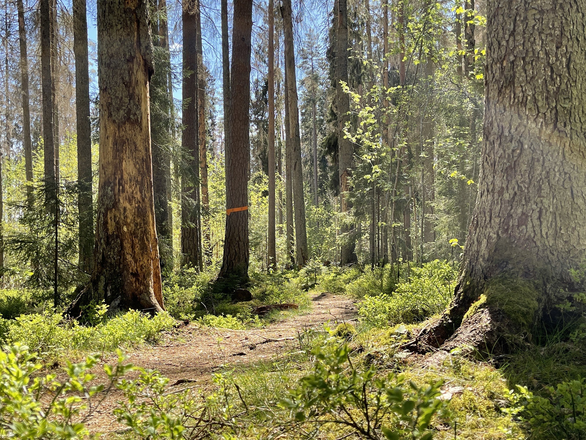 Garphyttan Nationalpark